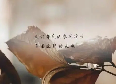 流产后伤心难过的说说文案