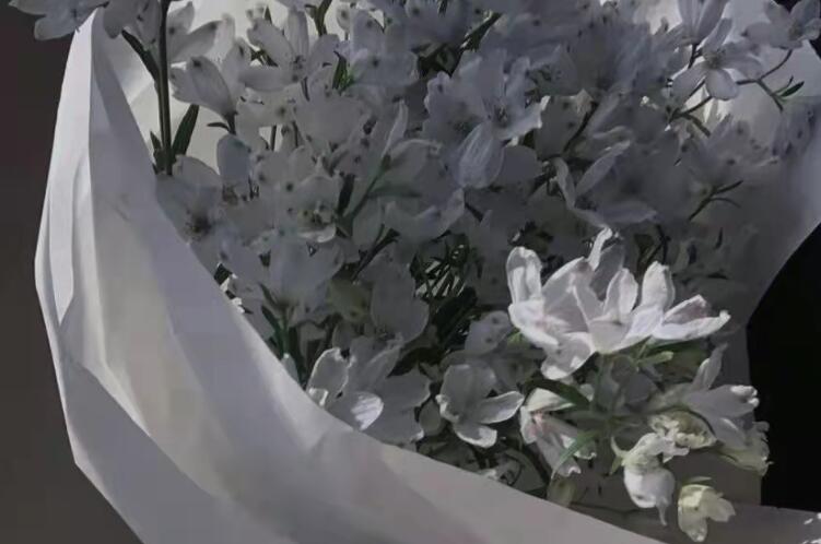 关于遗憾的文案短句