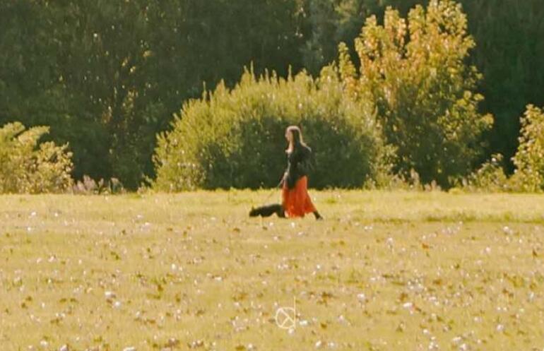 我又相信爱情了句子文案