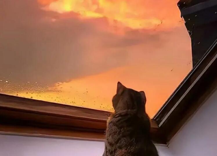 放弃暗恋的人的句子文案