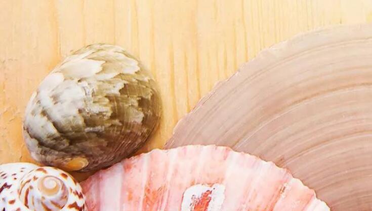 十一月最后一天的说说文案早安