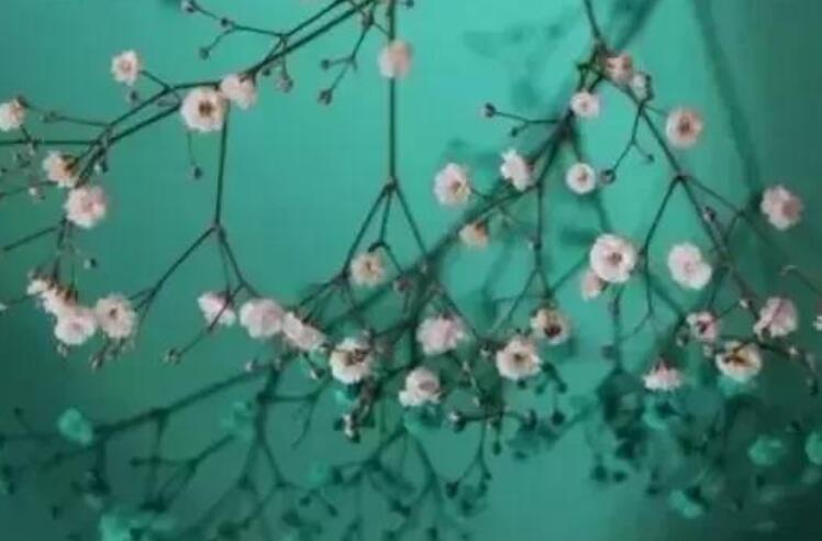 文艺句子文案十字以内