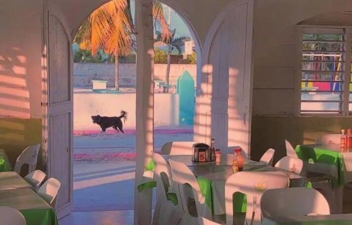 又甜又撩有点污的情话文案