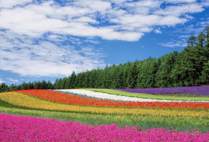 早晨问候正能量励志语