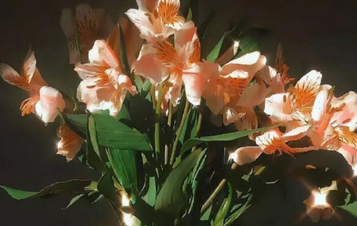 朋友圈高端文案爱情