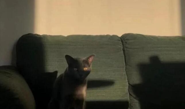 及时行乐的唯美句子文案