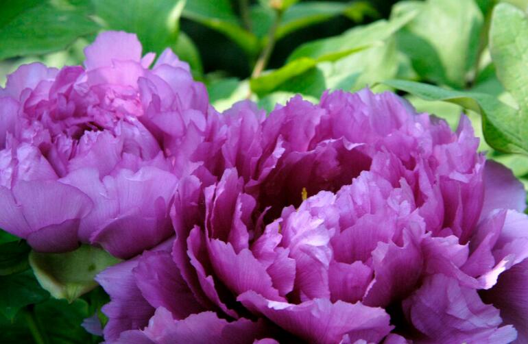 简单的三月三古诗