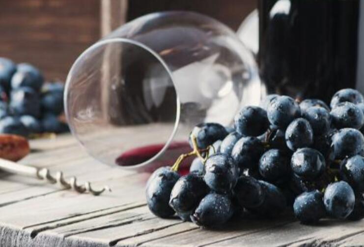 喝红酒语录经典句子文案