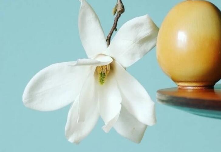 9个字的唯美句子文案