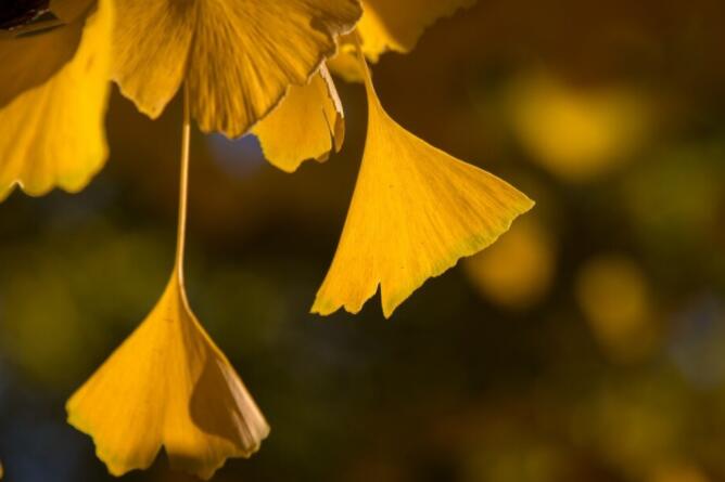 关于秋天的感慨句子文案