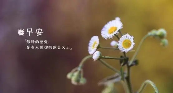 赞美清晨的句子文案唯美