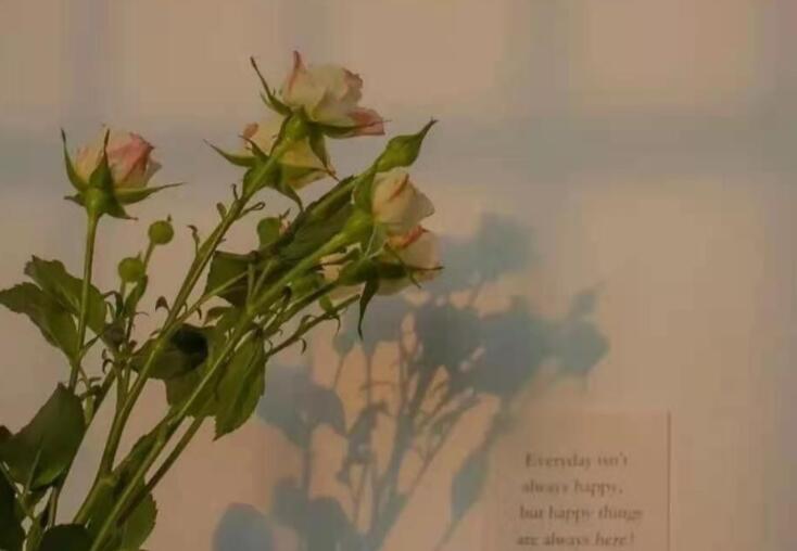 心爱的人要离开的句子文案