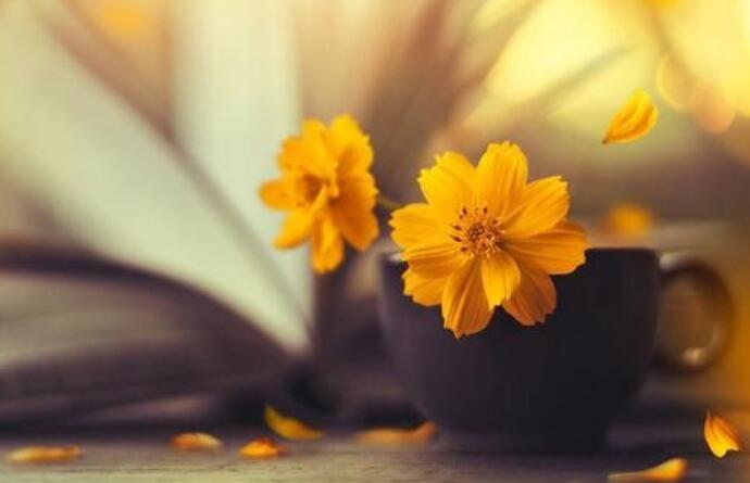 生活很糟糕很压抑的个性签名