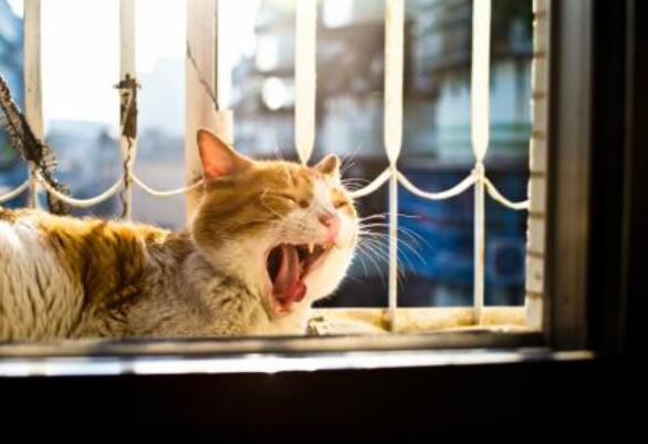 又累又困的心情说说文案