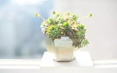 简单干净的生活句子文案