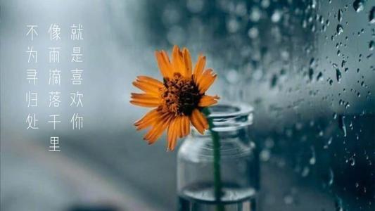 下雨的说说文案发朋友圈