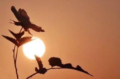 想念天堂里爷爷的句子文案