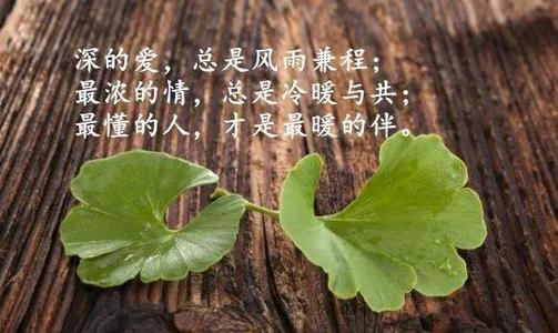 富有哲理优美的句子文案