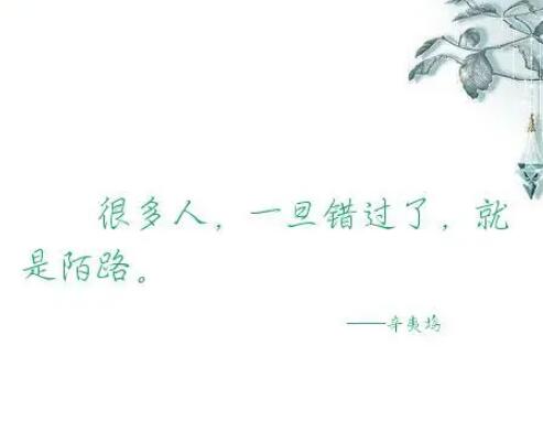 错过的句子文案经典短语