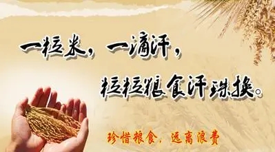 关于节约粮食的名言