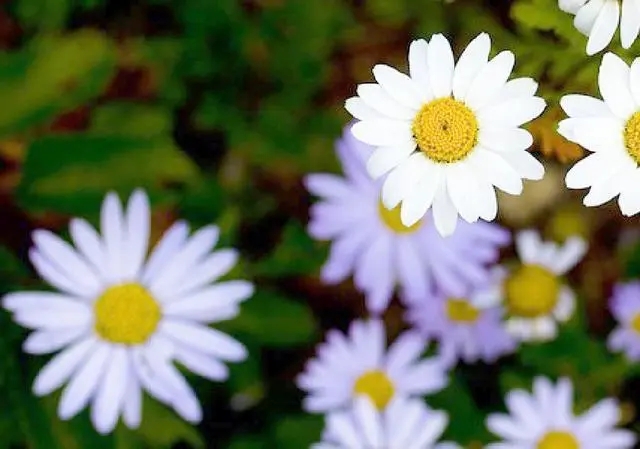 高三接地气励志句子文案