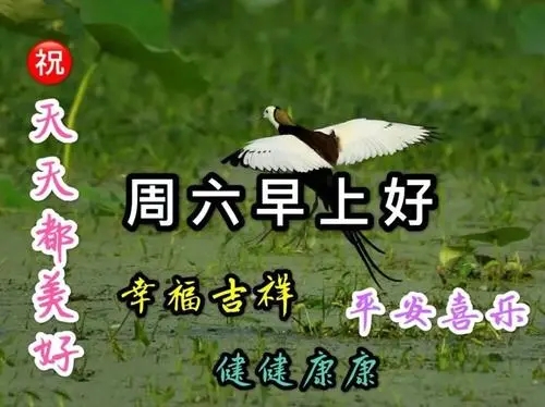 微信群周六早安问候语