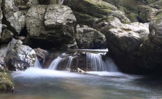 关于处暑的古诗四句