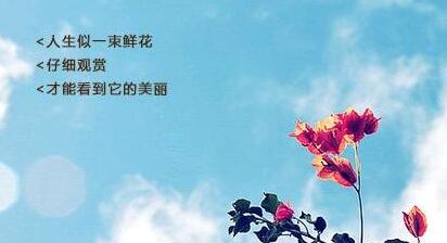 八字激励唯美短句