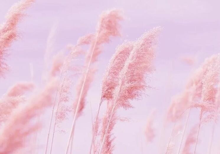 想念一个人早安的句子文案