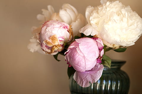 男生分手后的句子文案