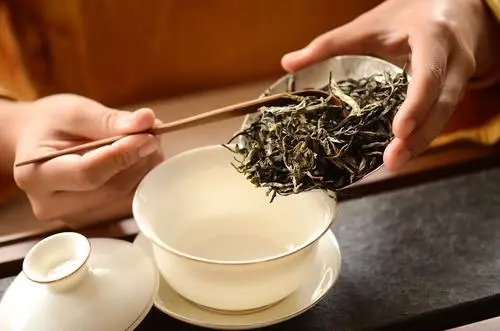 表示夏天很冷的句子文案