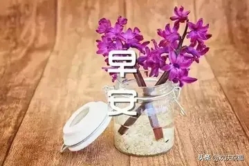 轻轻的问候深深的祝福的意思