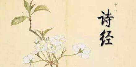 诗经里失望心冷的句子文案