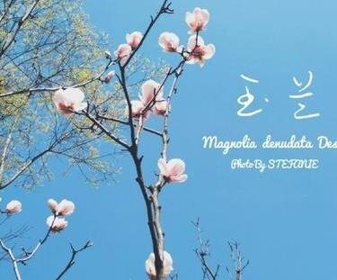 美短句摘抄大全