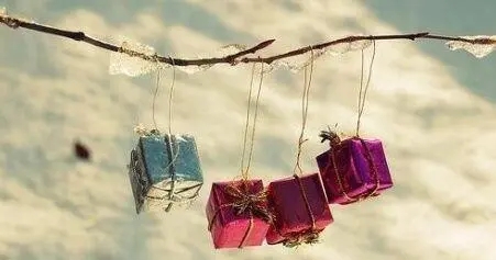 关于感情的精辟句子文案