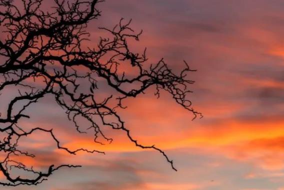 珍惜知己诗句文案打油诗