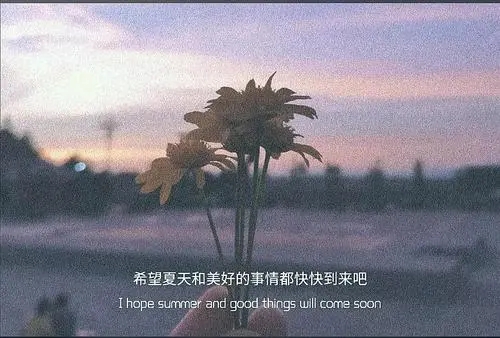 抖音热门文案心情