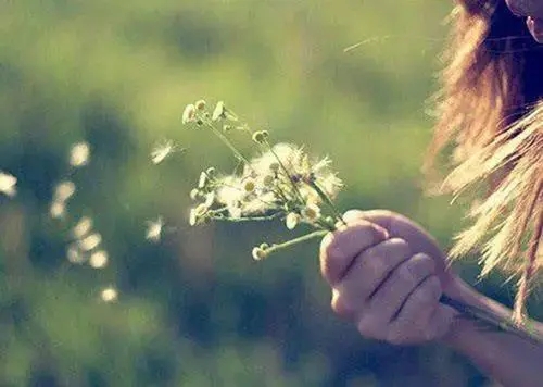 心伤坚强的语句文案