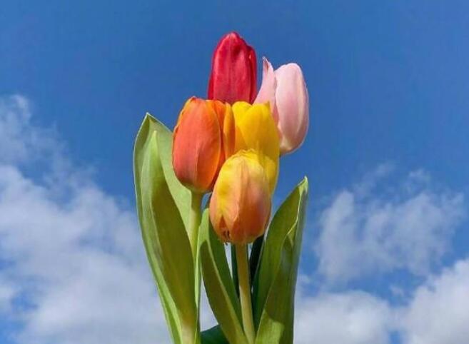 日总结正能量句子文案50字