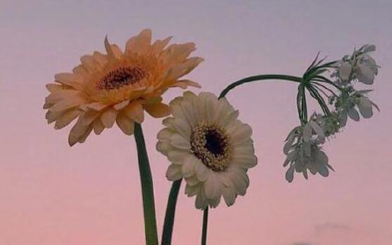 好久没晒照片幽默说说文案