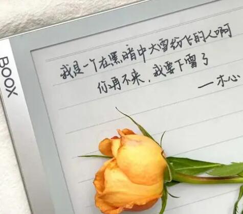 文人表白的句子文案