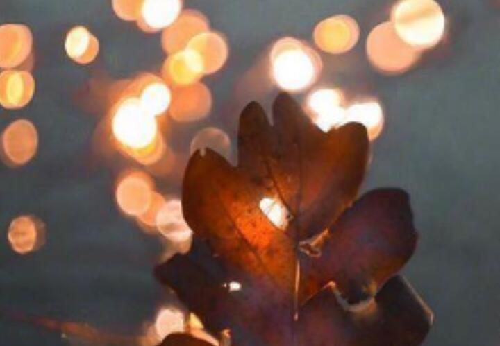 男人心碎心痛的句子文案