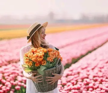 优美优雅的句子文案