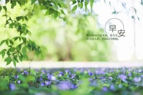 关于说早安的句子文案
