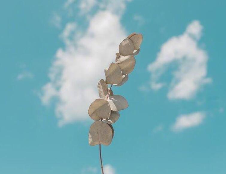 关于欣赏的唯美句子文案