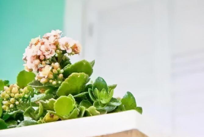 回忆的伤感语录文案