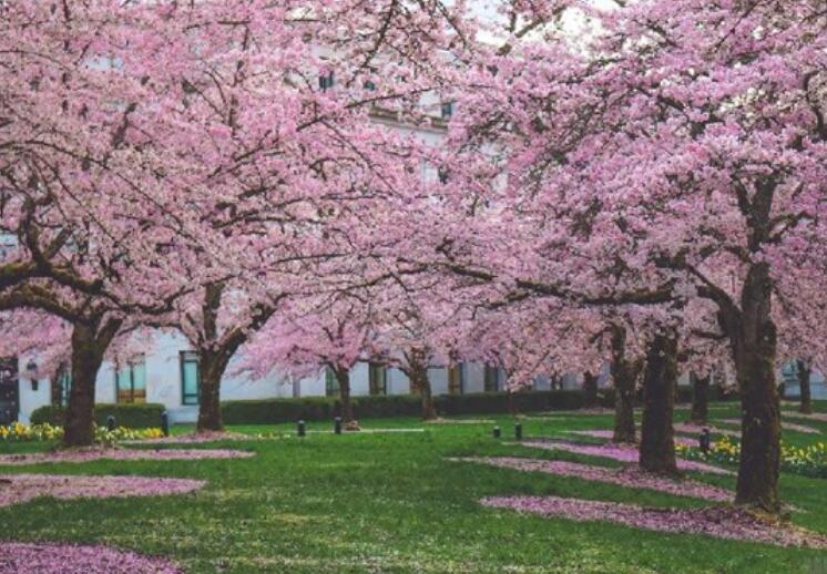 抒怀愉快心情的句子文案