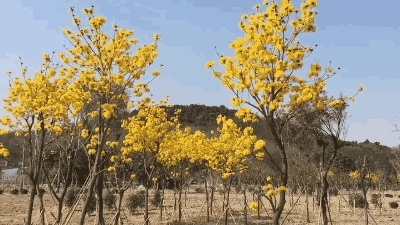 快乐的祝福语短句