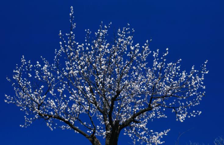 名人名言短句大全摘抄