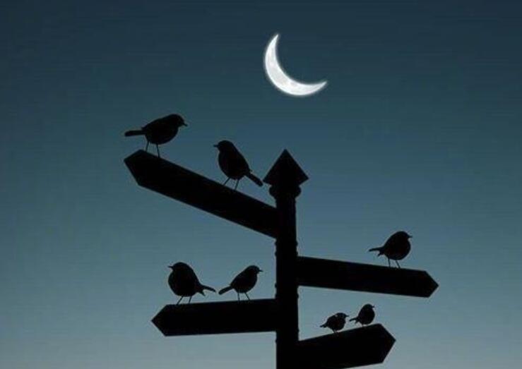 忧郁无助的句子文案